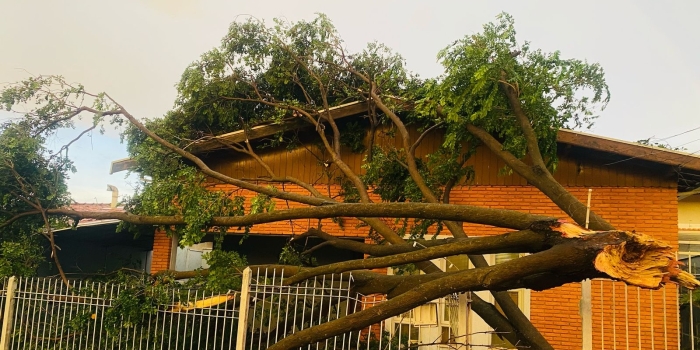Foto de capa da notícia