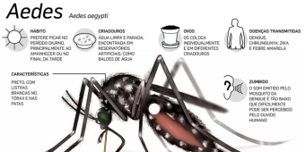Imagem de capa da notícia