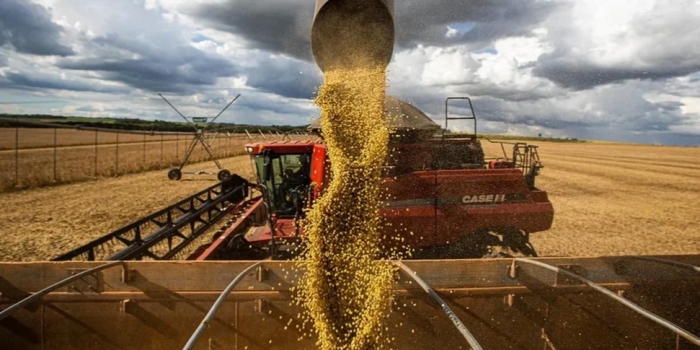 Foto de capa da notícia