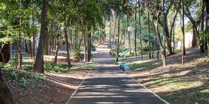 Foto de capa da notícia
