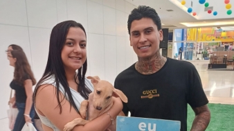 Imagem de capa da notícia