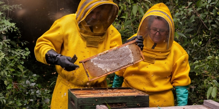 Foto de capa da notícia