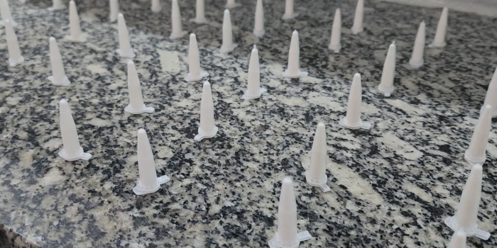 Foto de capa da notícia