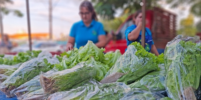 Foto de capa da notícia