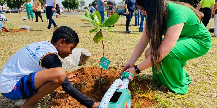 Foto de capa da notícia