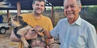 Imagem de capa da notícia
