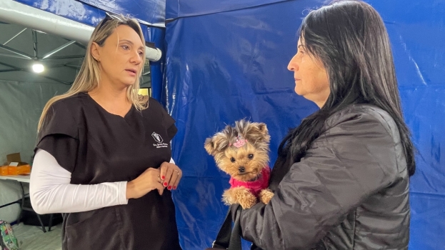 Foto de capa da notícia