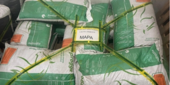 Imagem de capa da notícia
