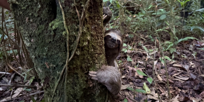 Foto de capa da notícia