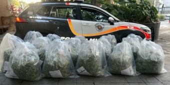 Imagem de capa da notícia