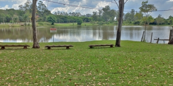 Imagem de capa da notícia