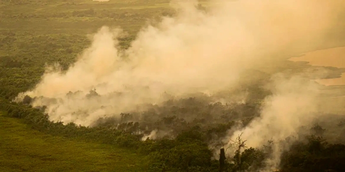 Foto de capa da notícia