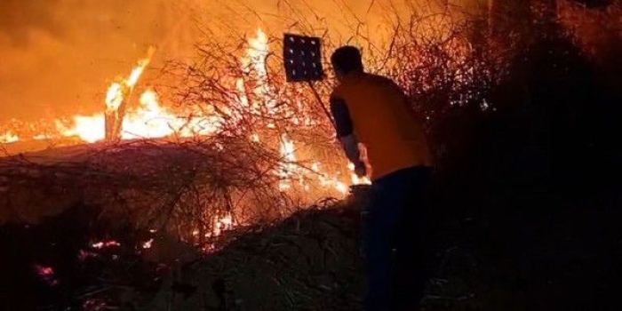 Foto de capa da notícia