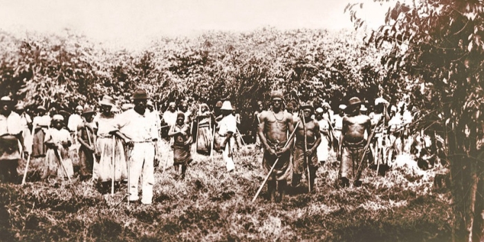 Foto de capa da notícia