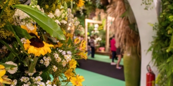 Imagem de capa da notícia