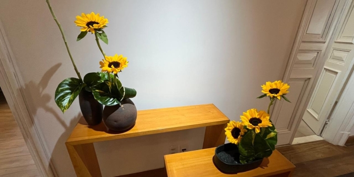 Foto de capa da notícia