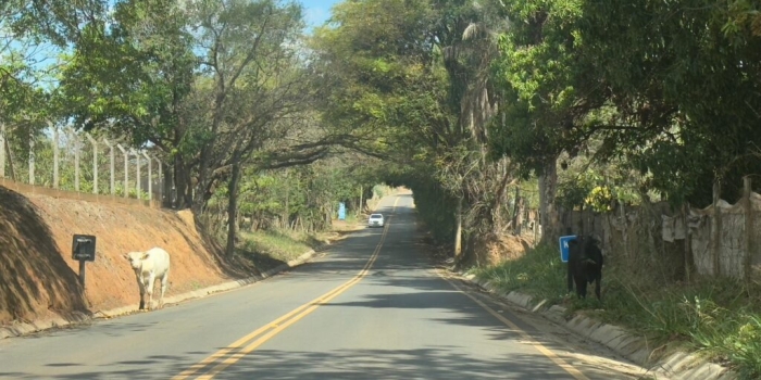 Foto de capa da notícia