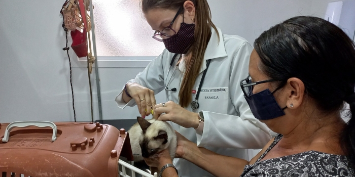 Foto de capa da notícia