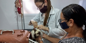 Imagem de capa da notícia