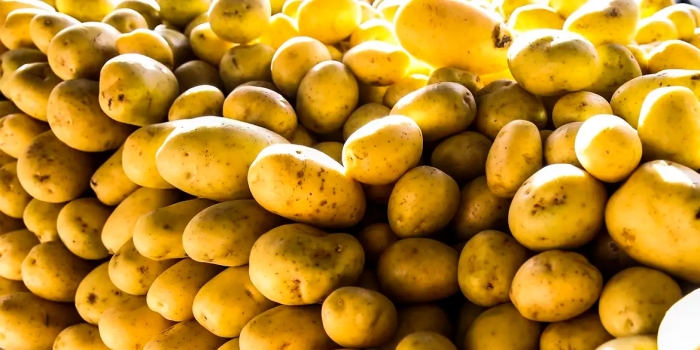 Foto de capa da notícia