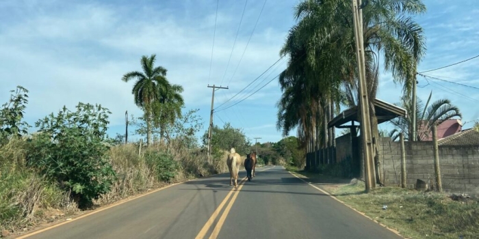 Foto de capa da notícia