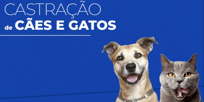 Foto de capa da notícia