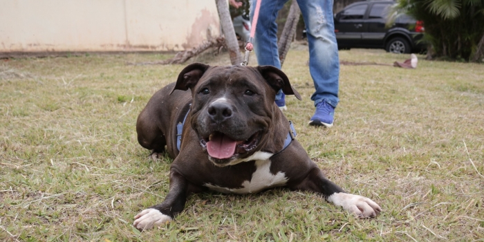 Foto de capa da notícia