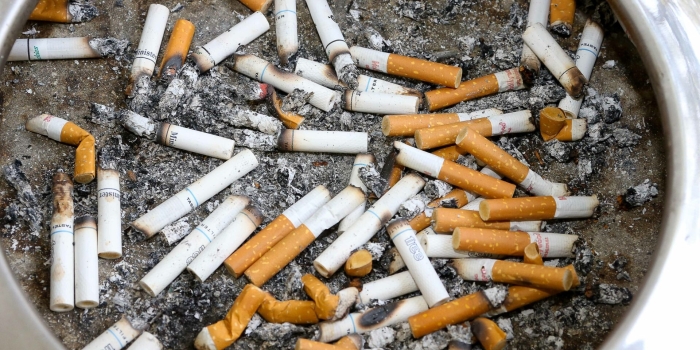 Foto de capa da notícia