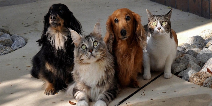 Foto de capa da notícia