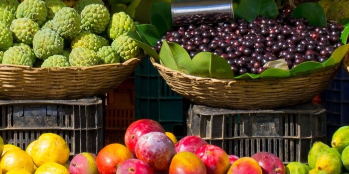 Foto de capa da notícia