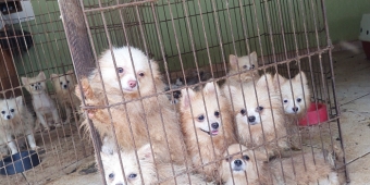 Imagem de capa da notícia