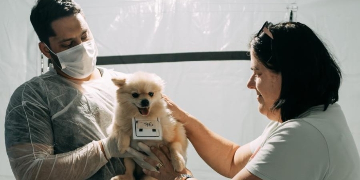 Foto de capa da notícia