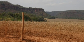 Imagem de capa da notícia