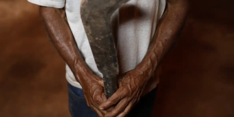 Imagem de capa da notícia