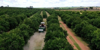 Imagem de capa da notícia