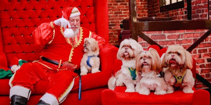 Foto de capa da notícia