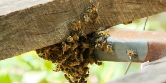 Imagem de capa da notícia