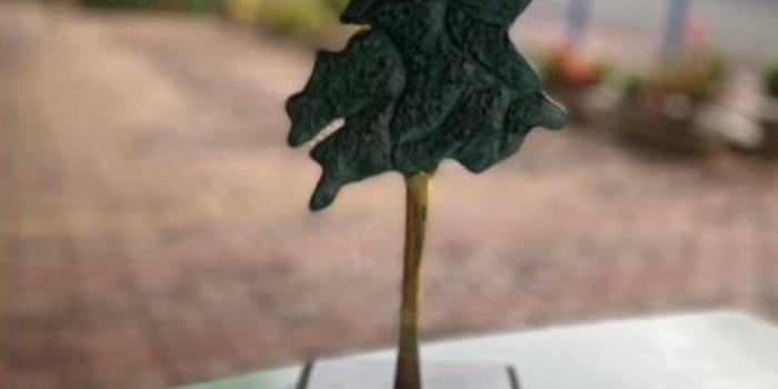 Foto de capa da notícia