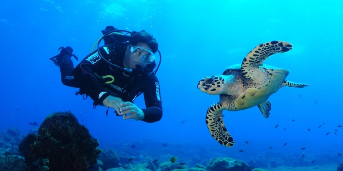 Foto de capa da notícia