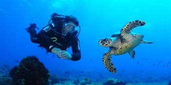 Imagem de capa da notícia