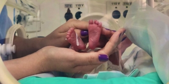 Imagem de capa da notícia