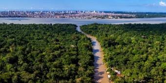 Imagem de capa da notícia