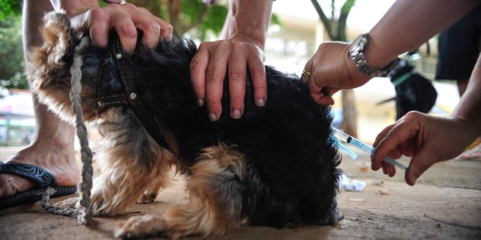 Foto de capa da notícia