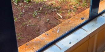 Imagem de capa da notícia