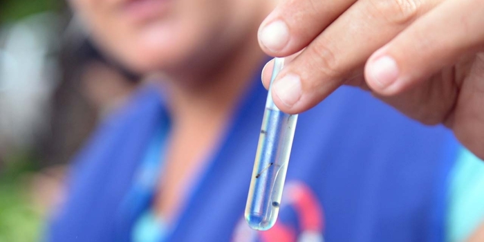 Foto de capa da notícia