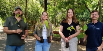 Imagem de capa da notícia