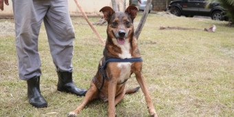 Imagem de capa da notícia