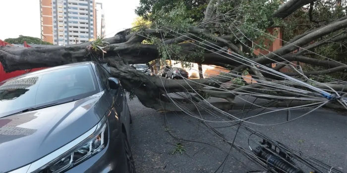 Foto de capa da notícia