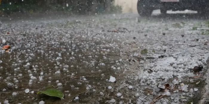 Foto de capa da notícia