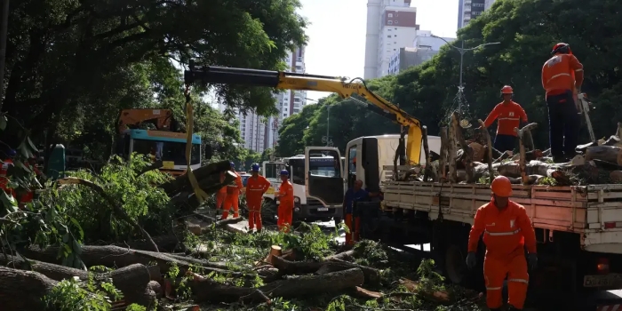 Foto de capa da notícia